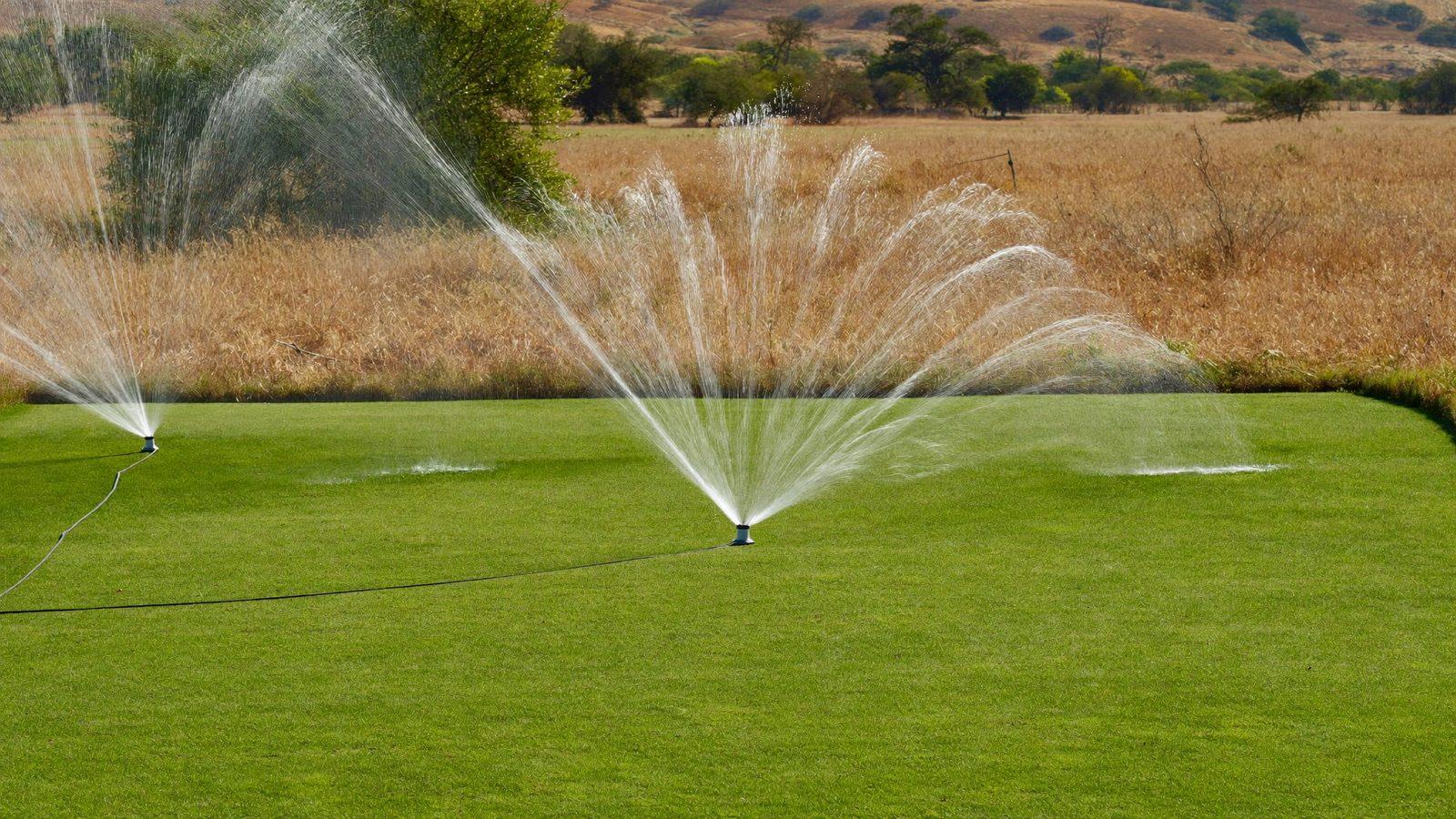 How to Maintain a Green Garden During Dry Seasons